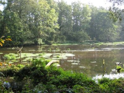 Herbstwanderung 2011_19