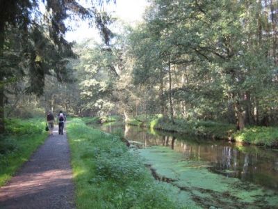 Herbstwanderung 2011_8