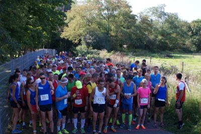 29.08.2015 - Monte Sophia / HAGL