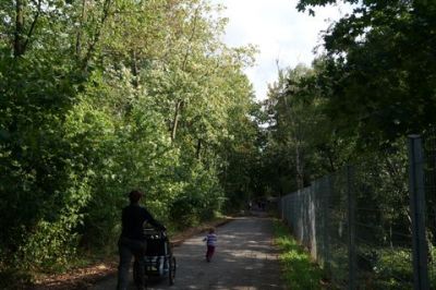 Monte Sophia XII_344