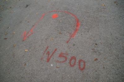 Monte Sophia XII_545