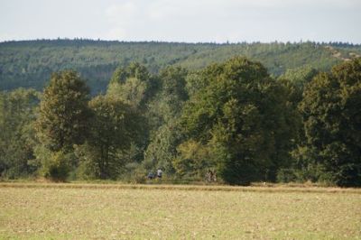 Monte Sophia XII_561